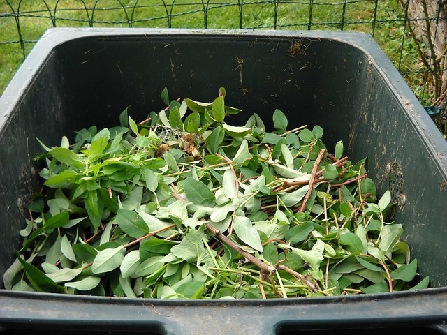 green-waste-486011_640